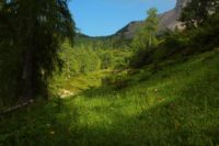 2015-07-04_2Sonnjoch (481).JPG